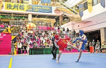 不止于武术，看“沧州擂”何以破圈|沧州市|河北省|南川市|赛事|擂台_新浪新闻